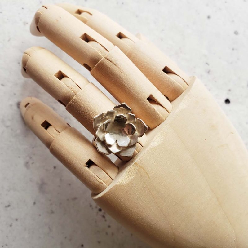 Anillo de suculenta