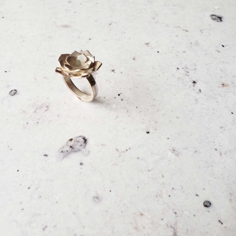 Anillo de suculenta - Imagen 5